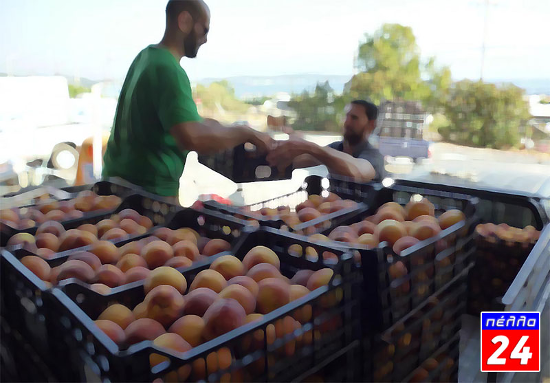 Στέκια οπωροκηπευτικών