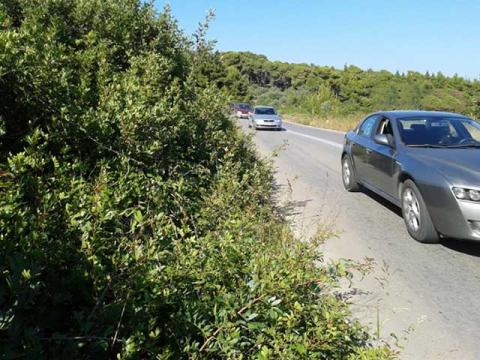 κοπή χόρτων στο οδικό δίκτυο