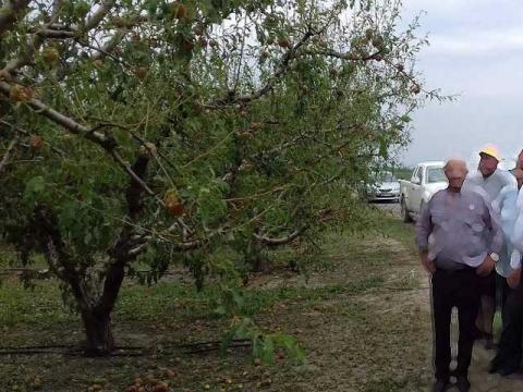 επιτόπιοι έλεγχοι από γεωπόνους στις πληγείσες περιοχές